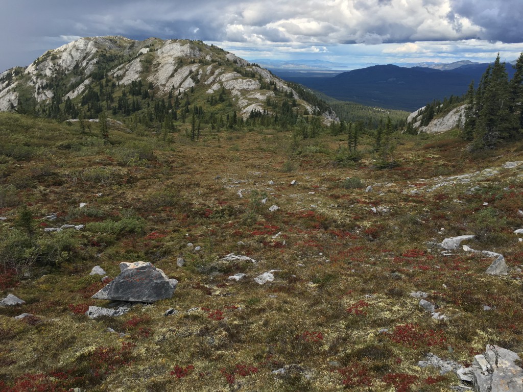 On top of Grey Mountain