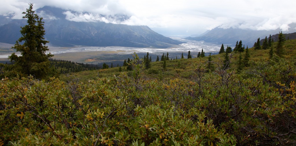 Tip of Kaskawulsh Glacier