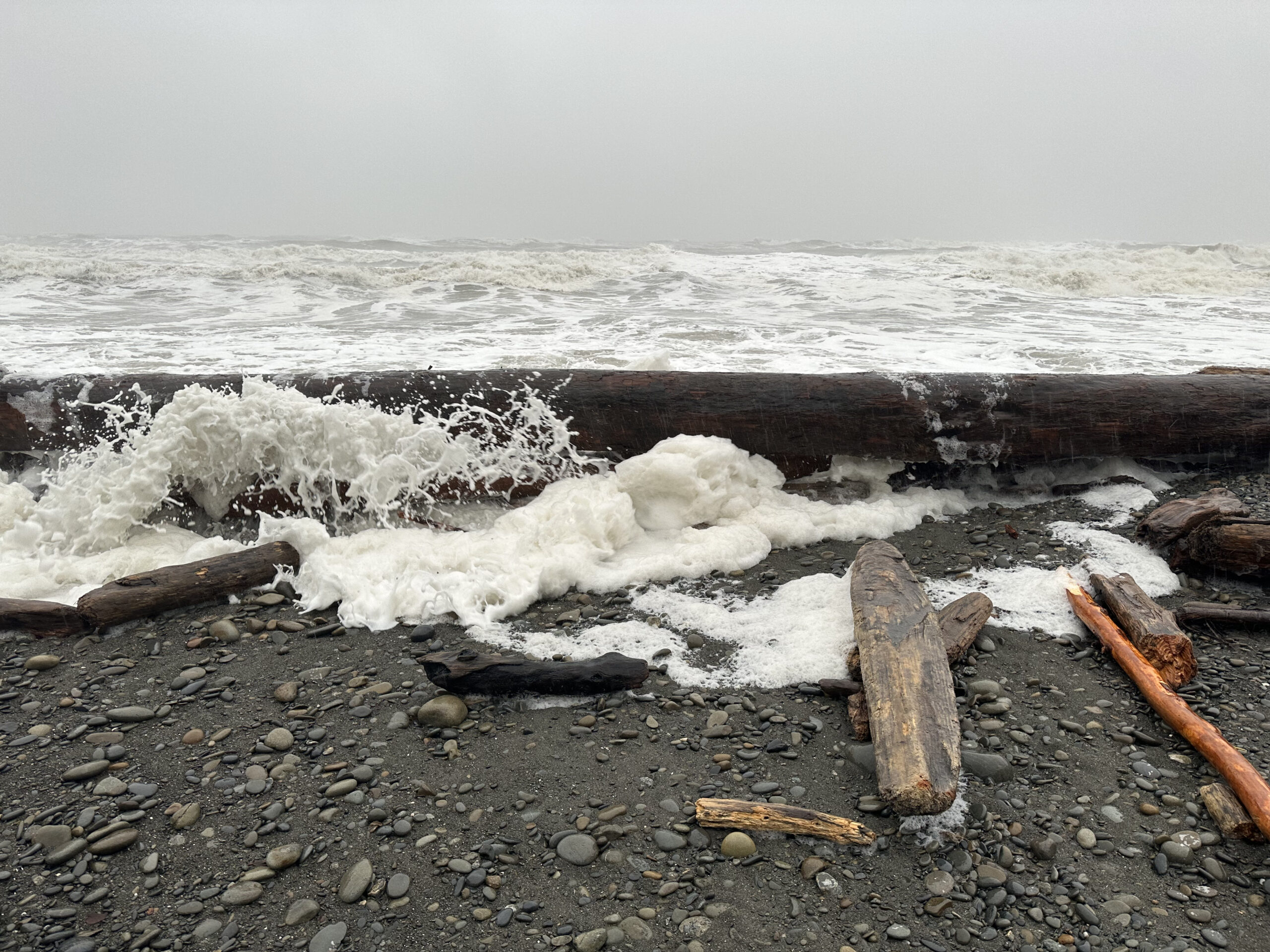 King Tide Rushing Under Log