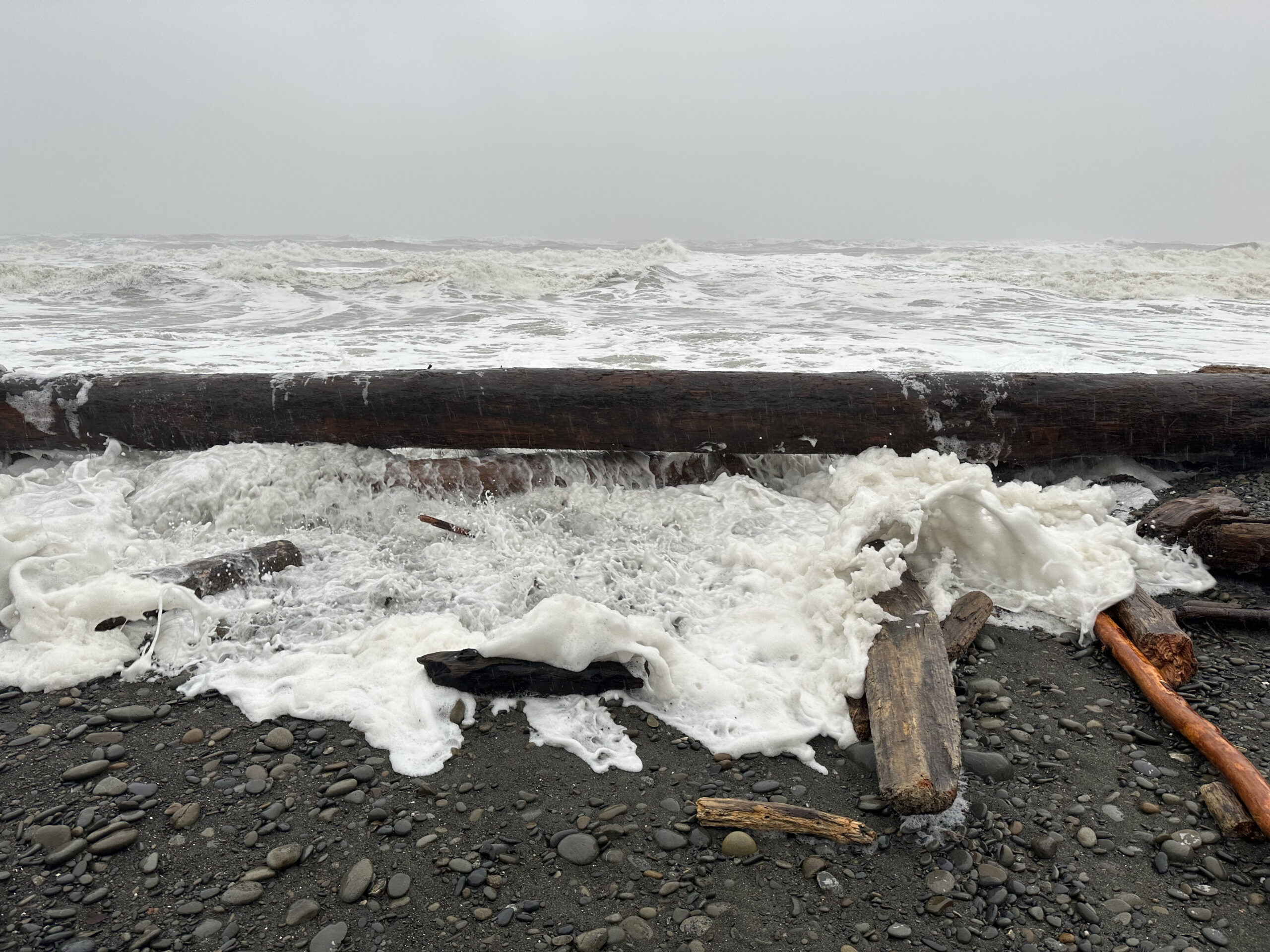 King Tide Rushing Under Log