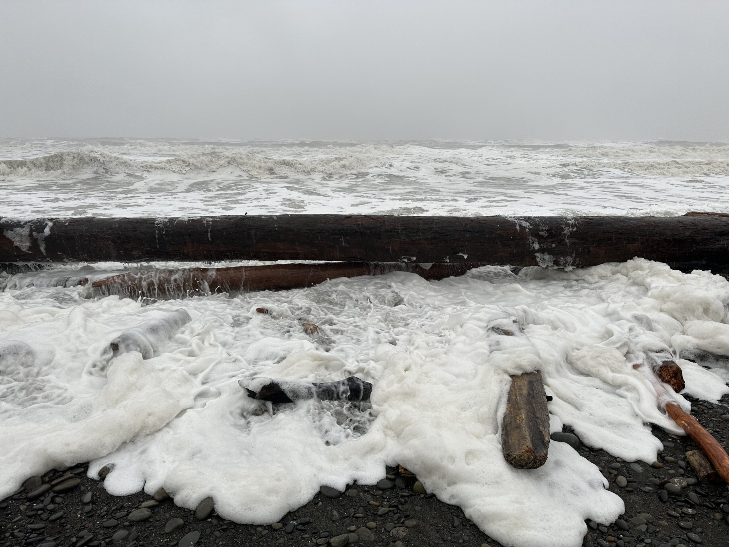 King Tide Rushing Under Log