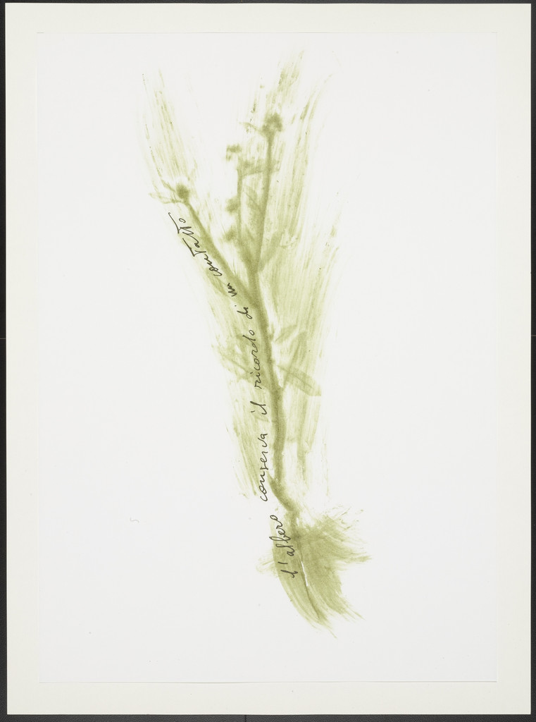 Untitled from Thirty-Three Herbs (Trentatre Erbe)