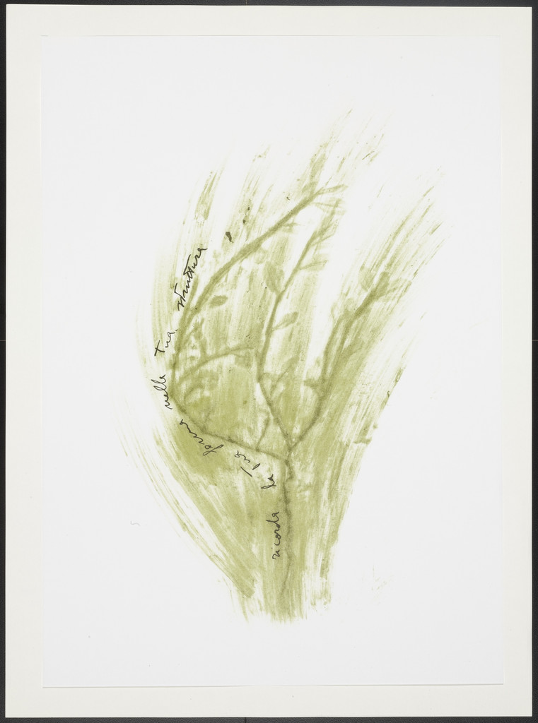 Untitled from Thirty-Three Herbs (Trentatre Erbe)