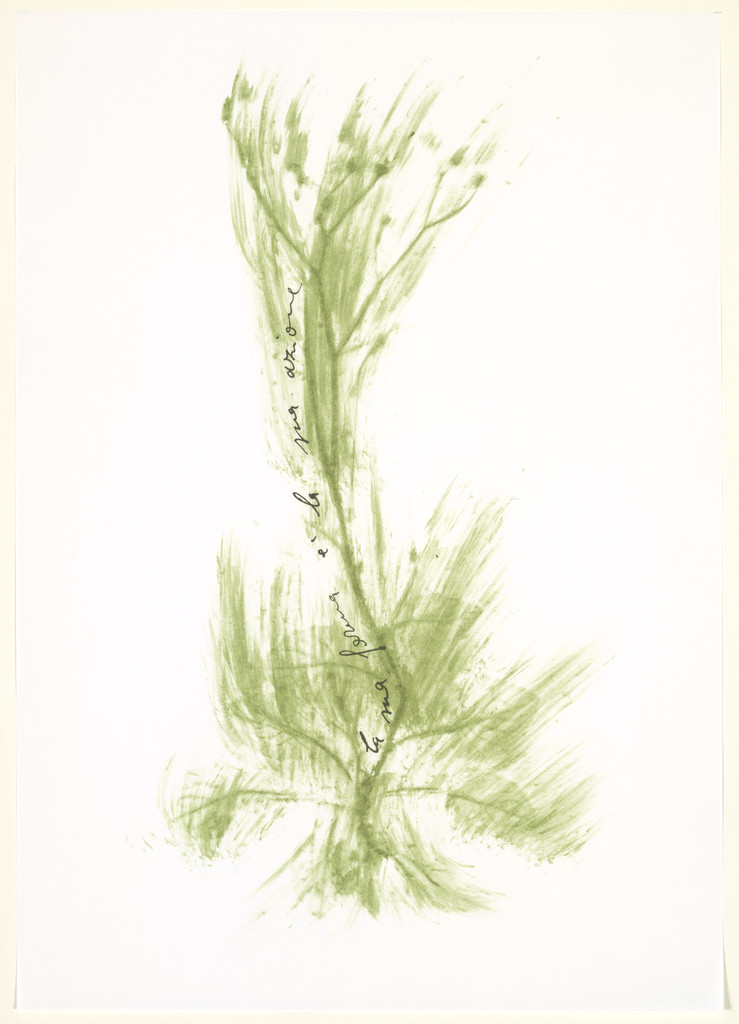 Untitled from Thirty-Three Herbs (Trentatre Erbe)