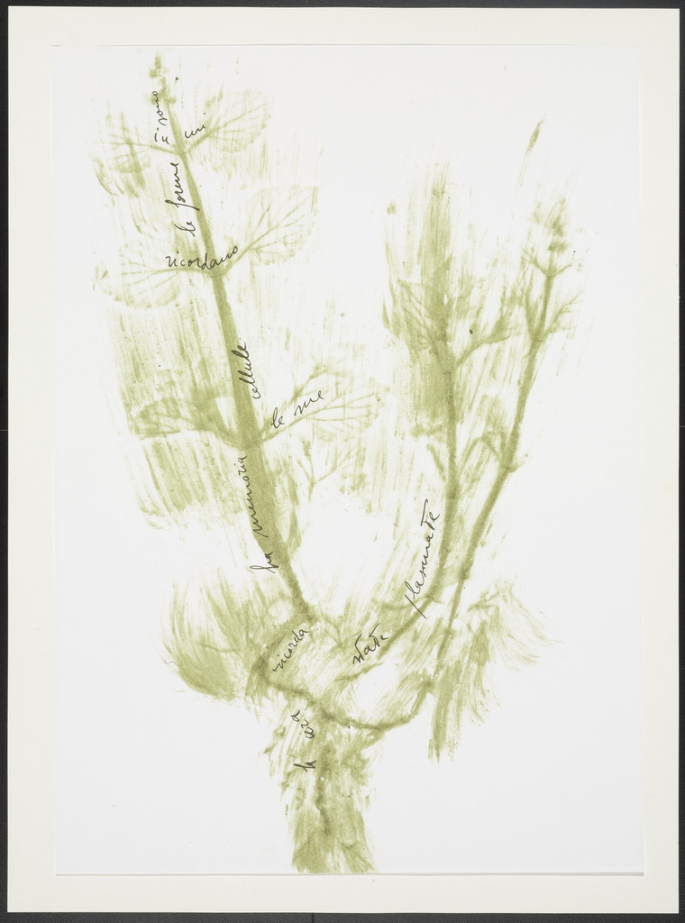 Untitled from Thirty-Three Herbs (Trentatre Erbe)