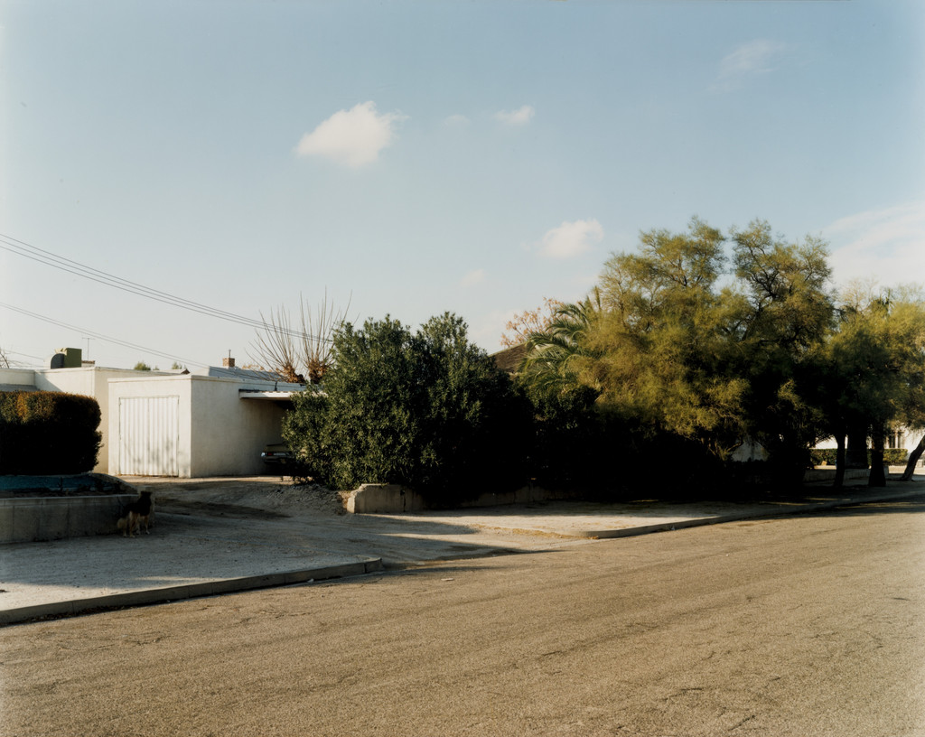 2nd Avenue, Tucson, Arizona, December 19, 1976