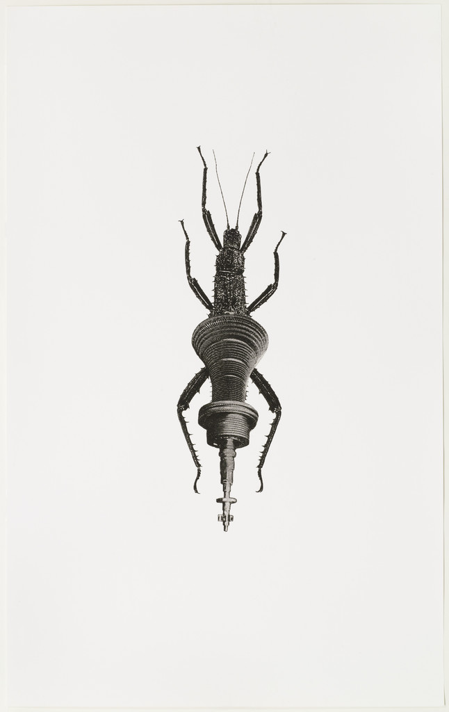 Machine Insect