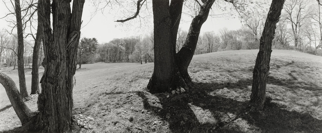 Untitled, Long Island