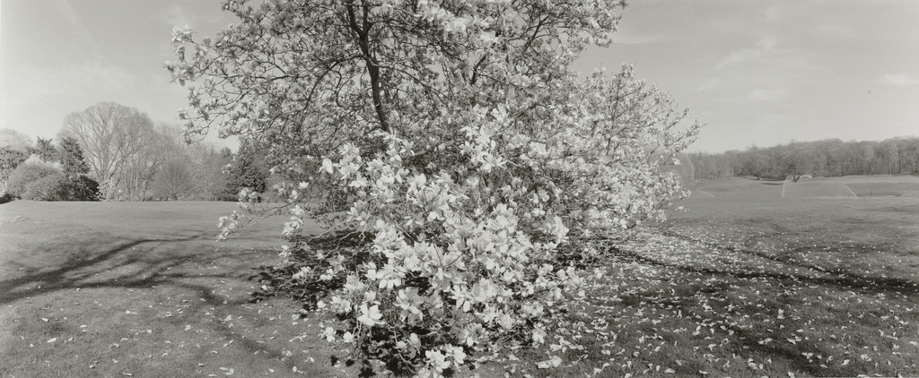 Untitled, Long Island