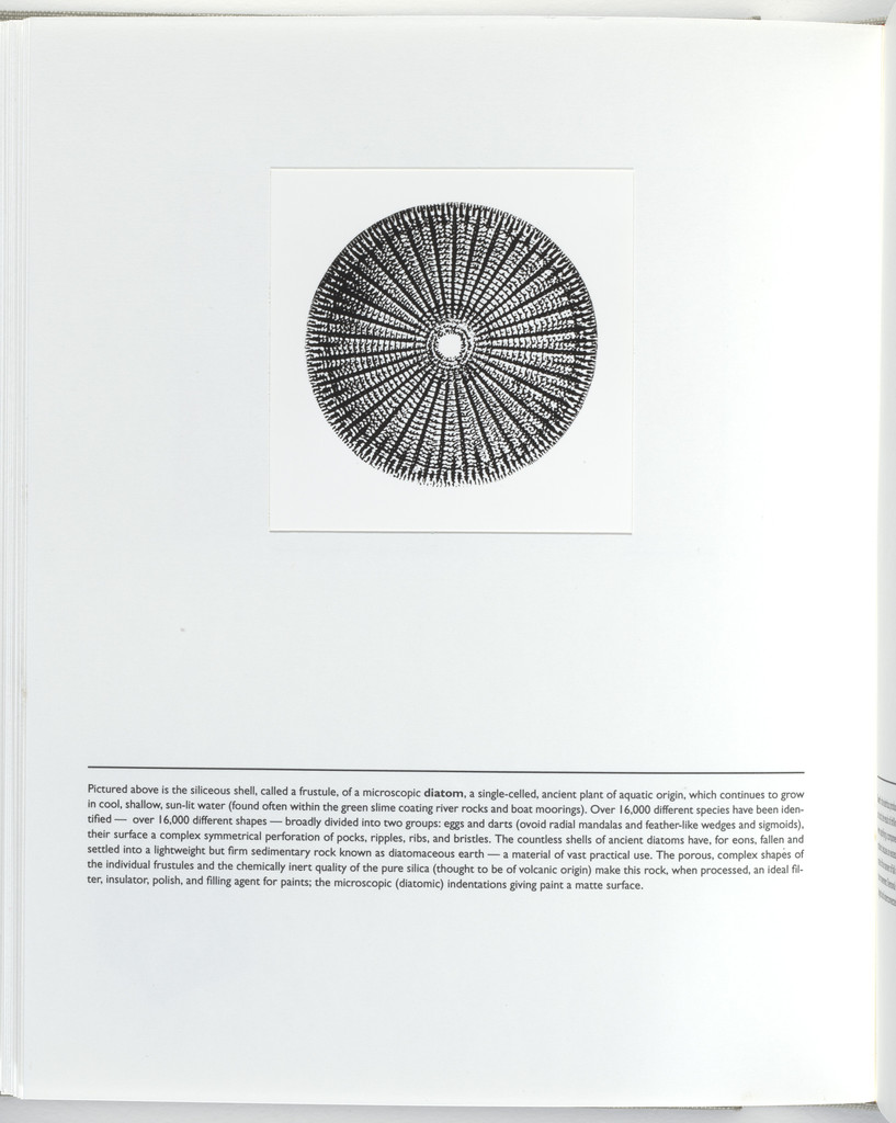 Untitled (page from Sump)