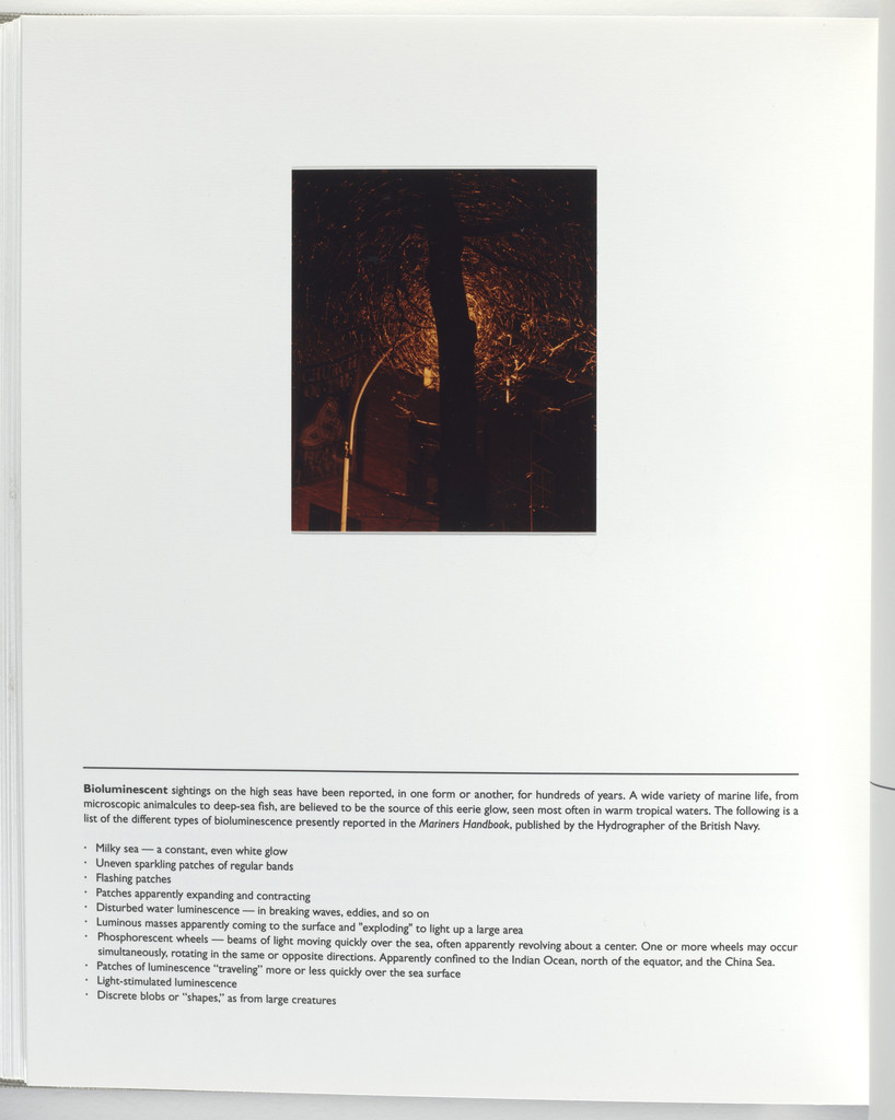 Untitled (page from Sump)