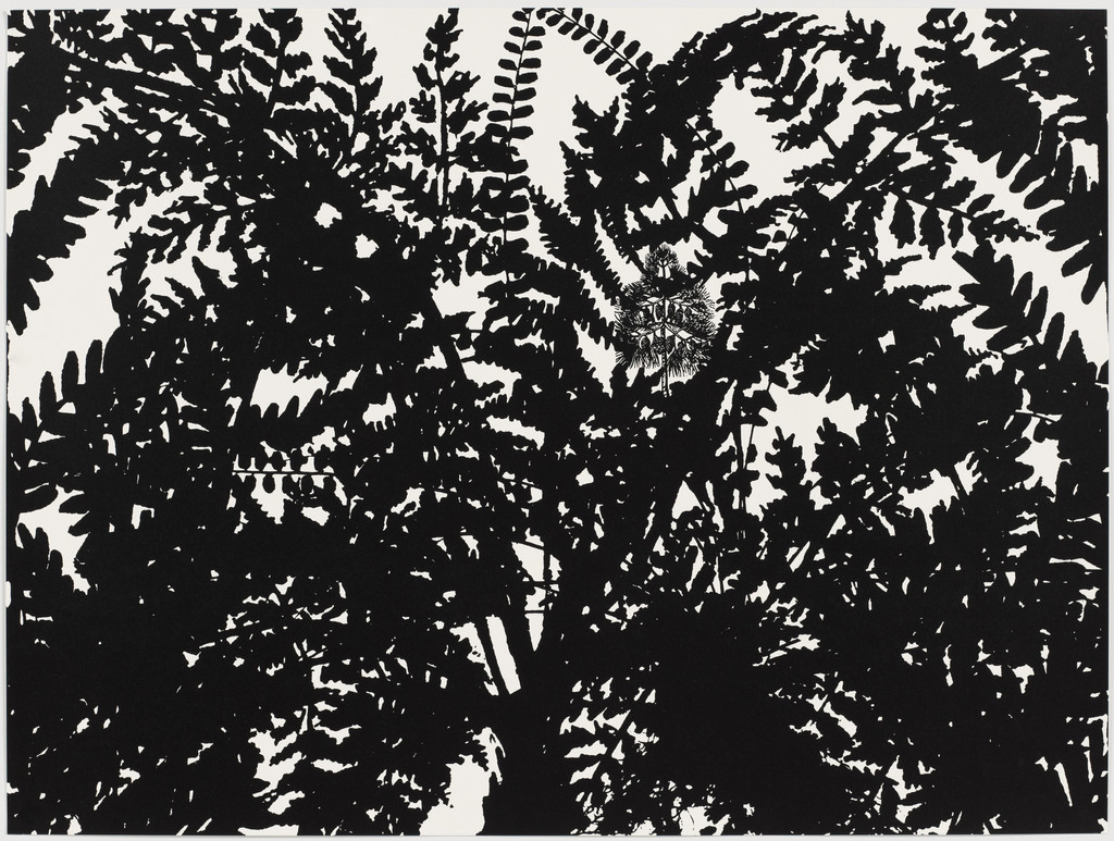 Untitled from Black Dahlias