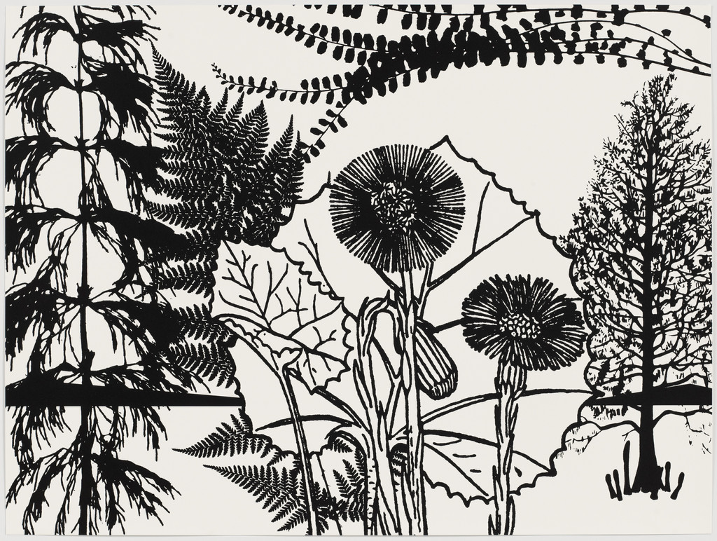 Untitled from Black Dahlias