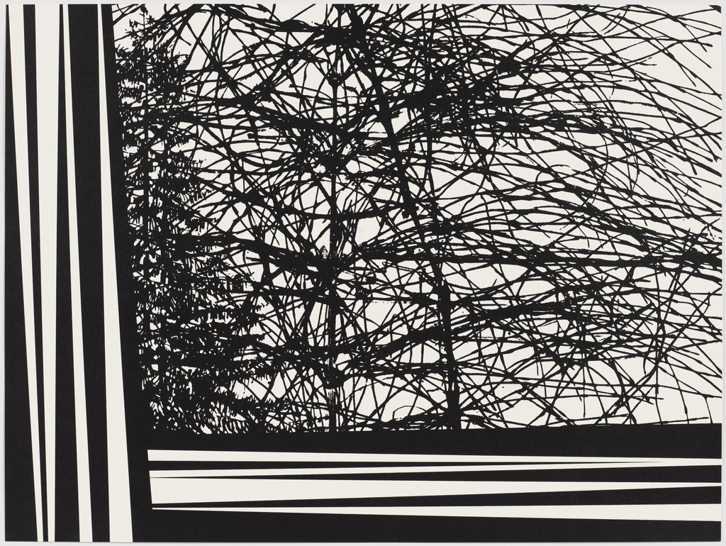 Untitled from Black Dahlias