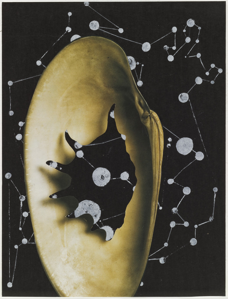 Untitled from Eve