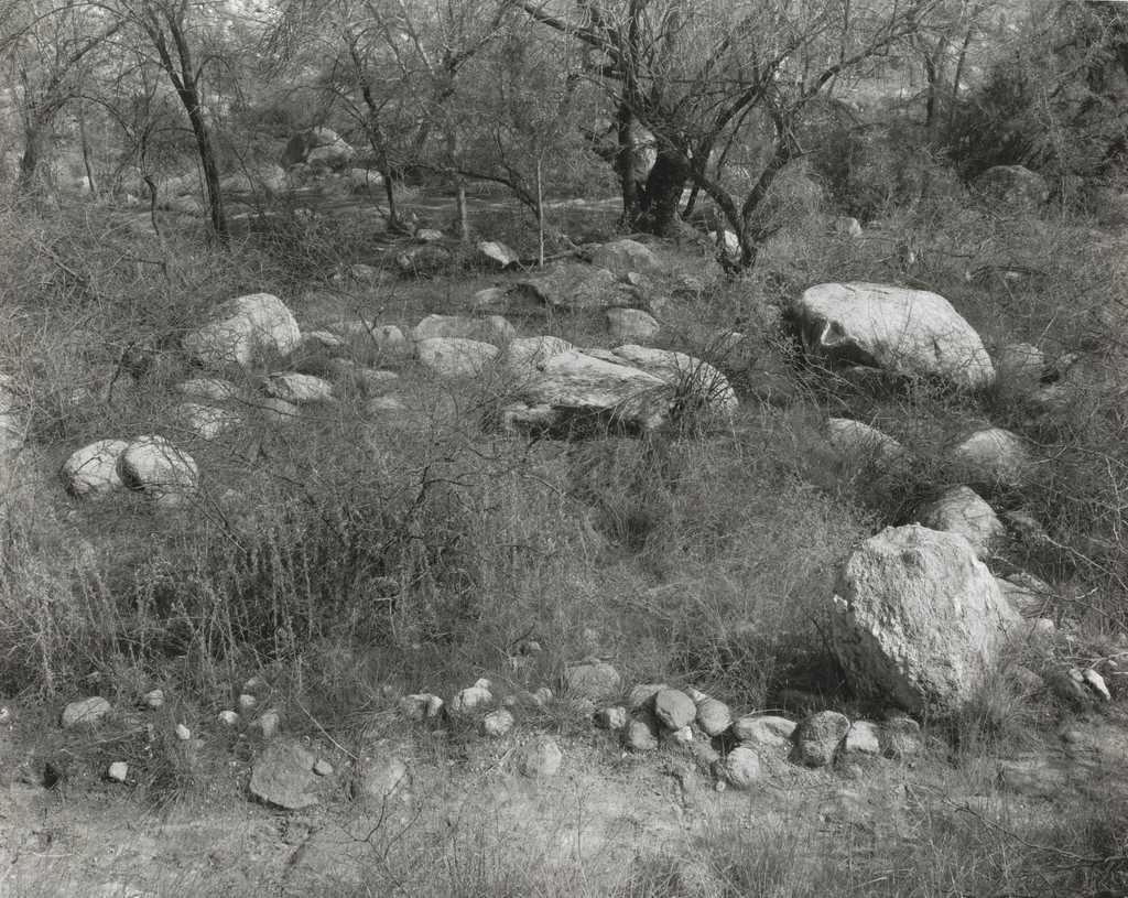 Sonoran Landscape #5