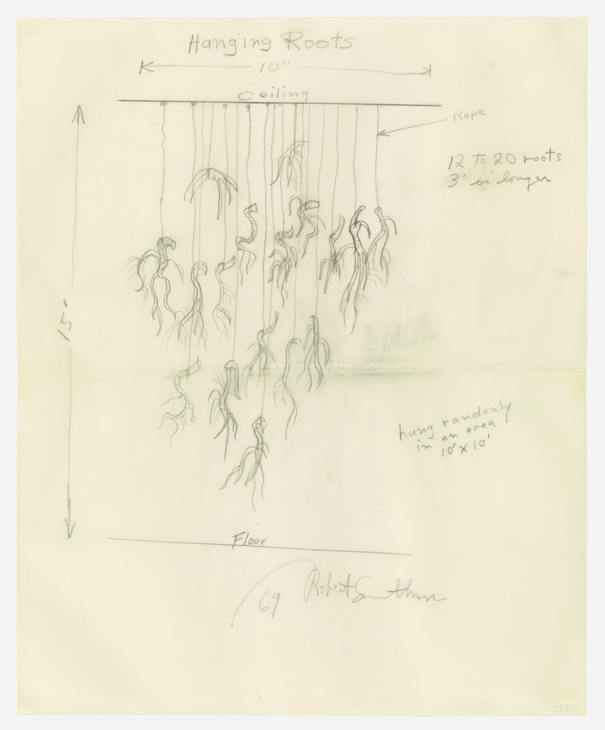 Hanging Roots (From Ceiling)