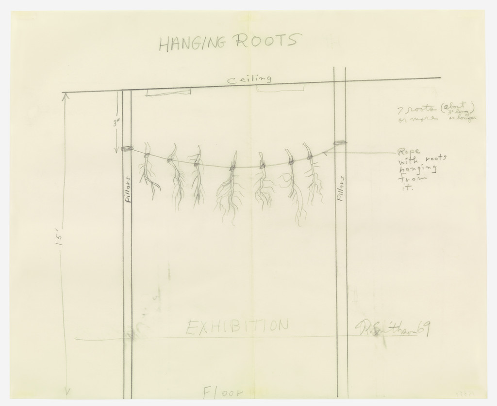 Hanging Roots
