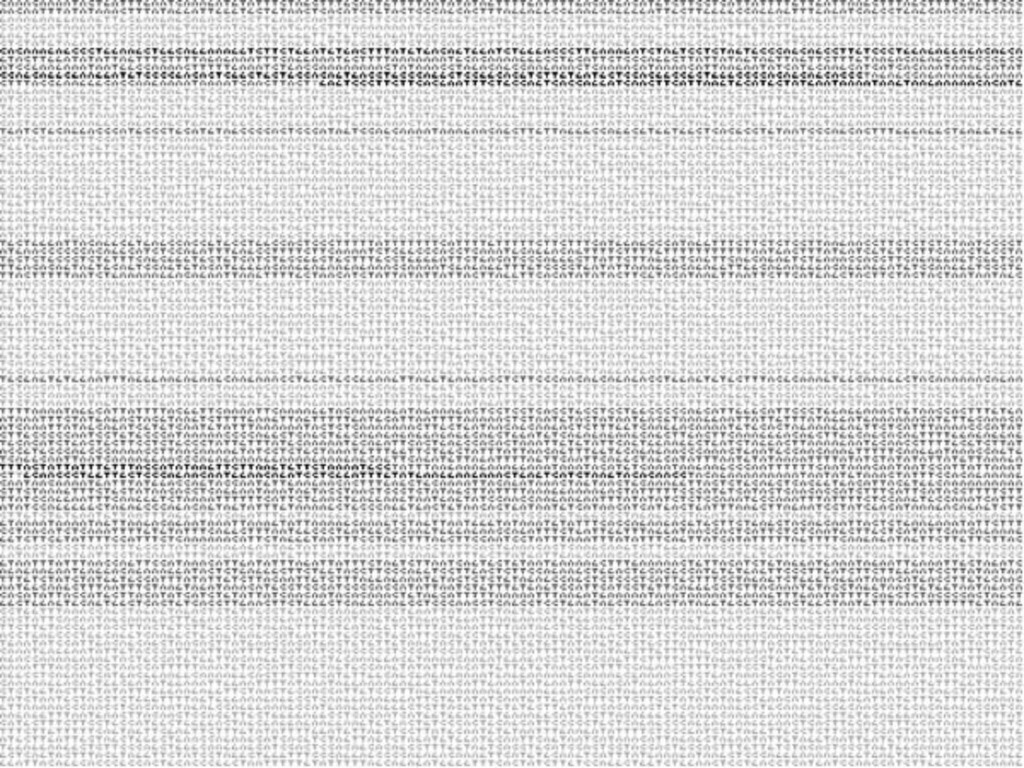 Aesthetics + Computation Group