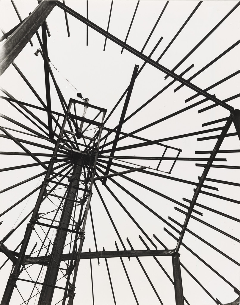Structure for a Petroleum Tank