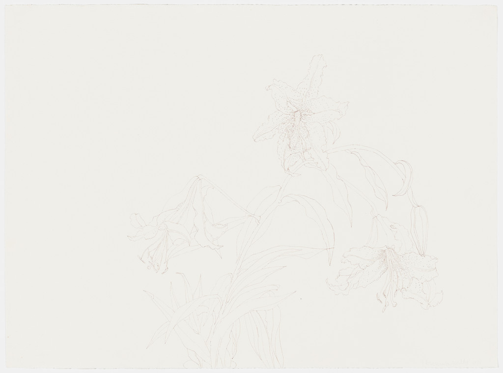 Flower Drawing