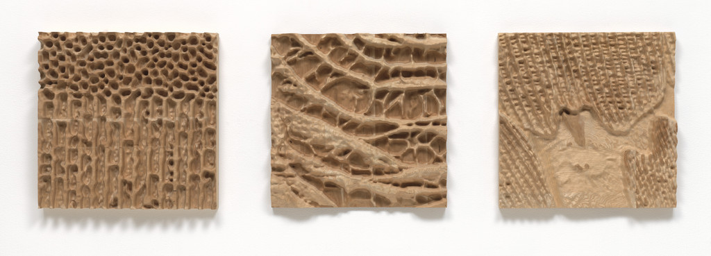 Subterrain, from the Materialecology project