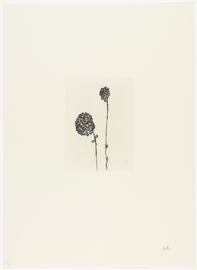 Untitled, plate 2 of 10, from the portfolio, Homely Girl, A Life