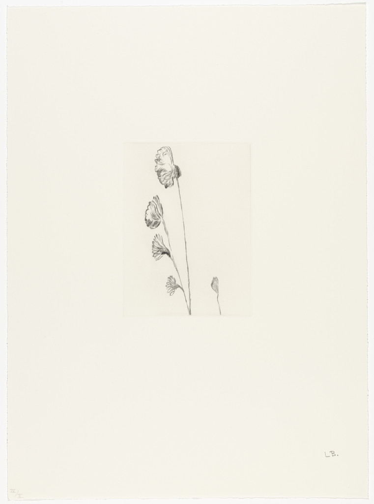 Untitled, plate 4 of 10, from the portfolio, Homely Girl, A Life