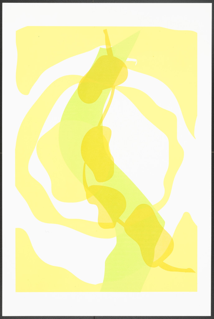 Untitled from Eucalyptus (Eukalyptus)