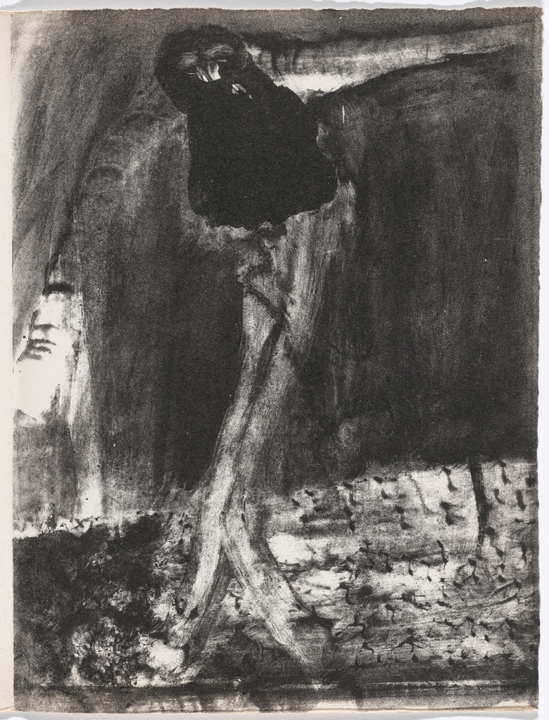 Plate (page 93) from Meidosems