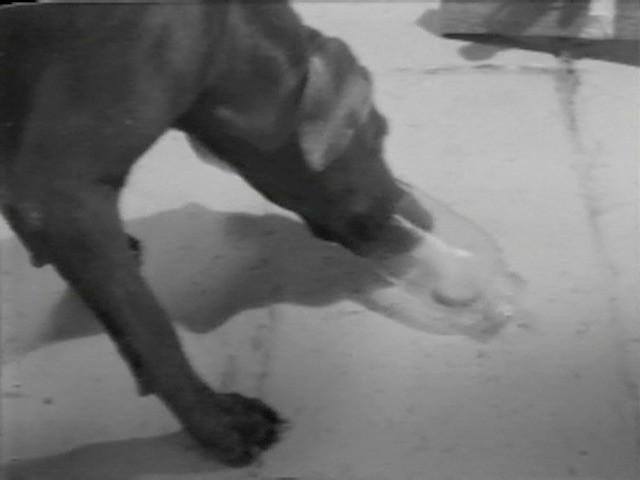 Selected Works: Reel 2