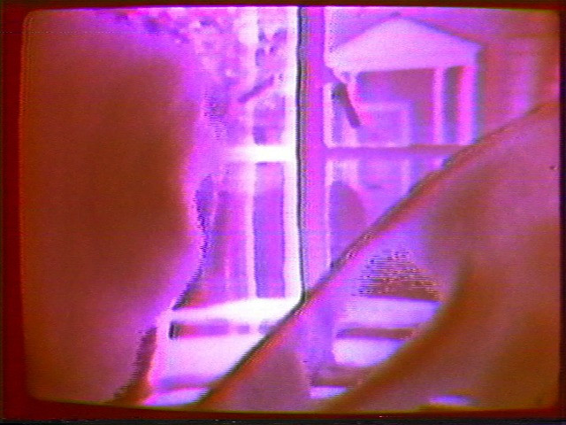 Summer Dream
