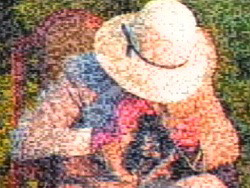 The Commission