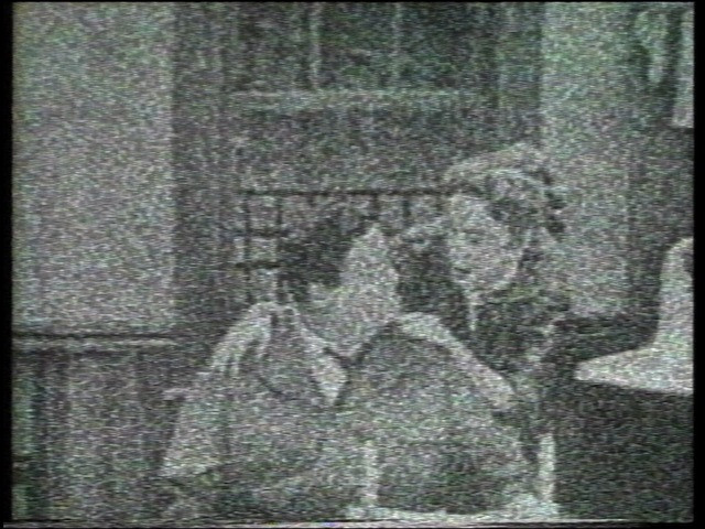 Emergence of Democratic Memory from The Hundred Videos