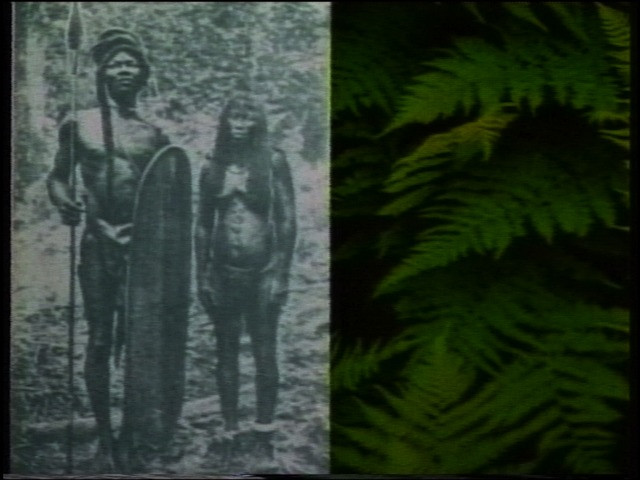 Speculative Anthropology from The Hundred Videos