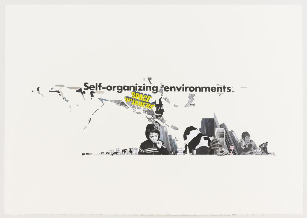 Self-organizing environments