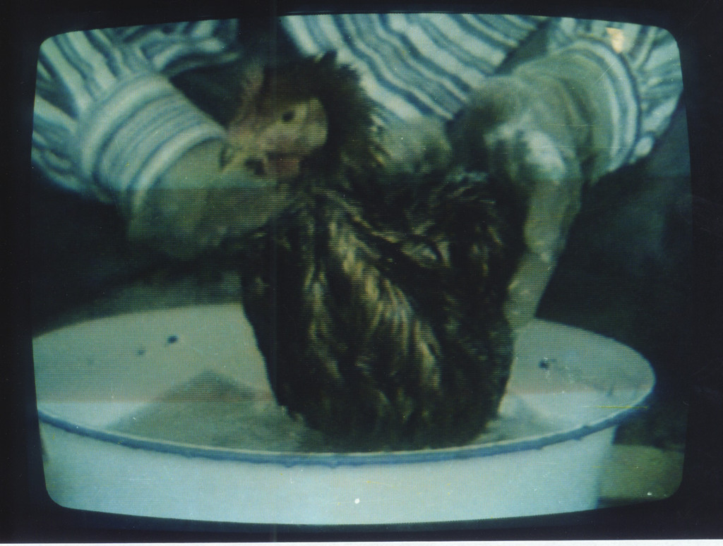 Document on Hygiene No. 3