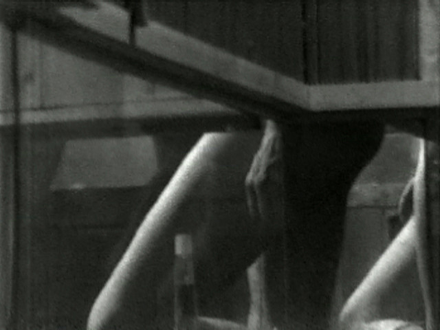 Program Four: Sauna View
