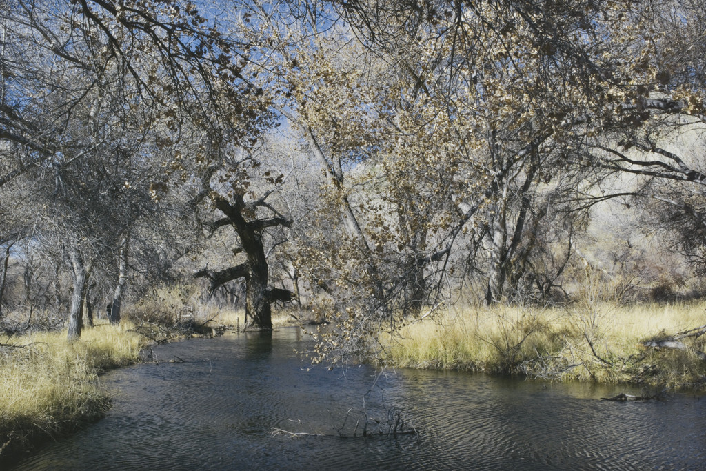 California