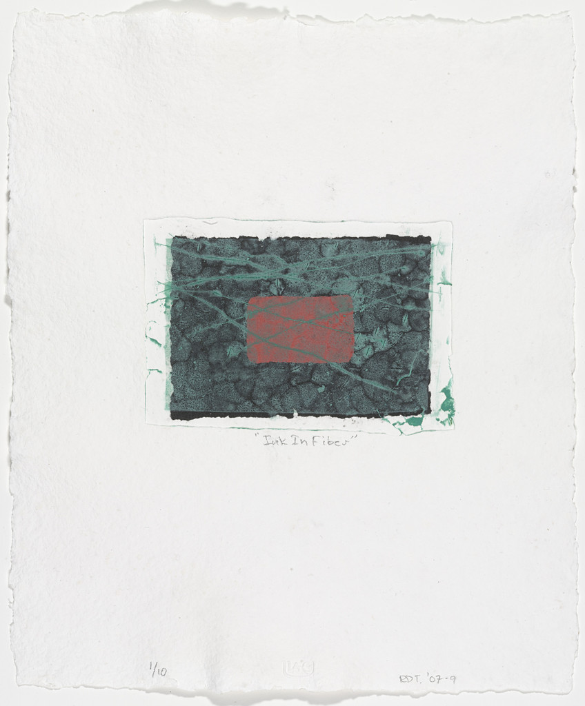 Ink in Fiber