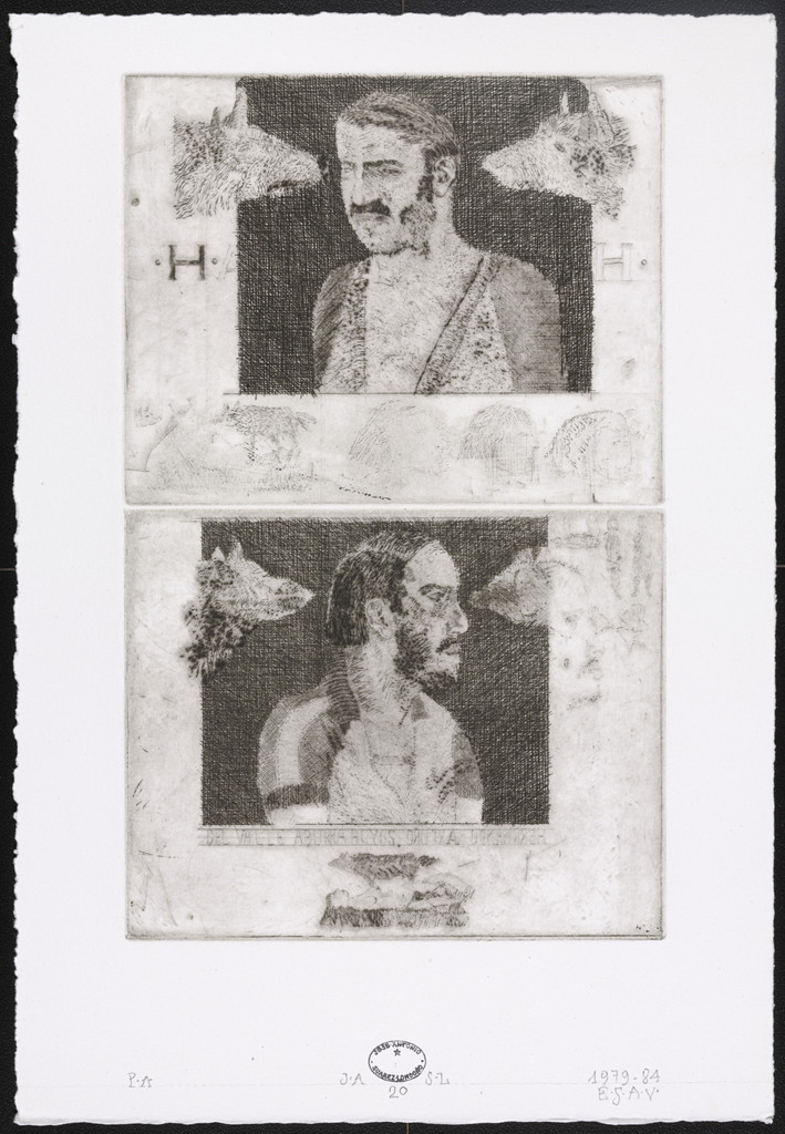 Untitled #20