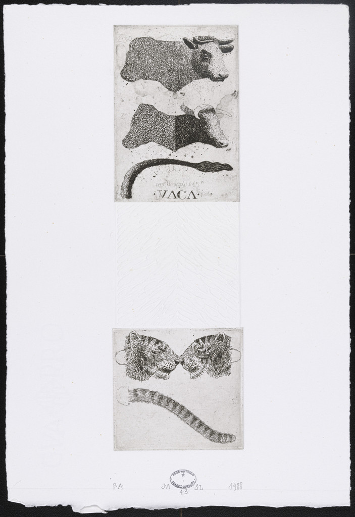 Untitled #43