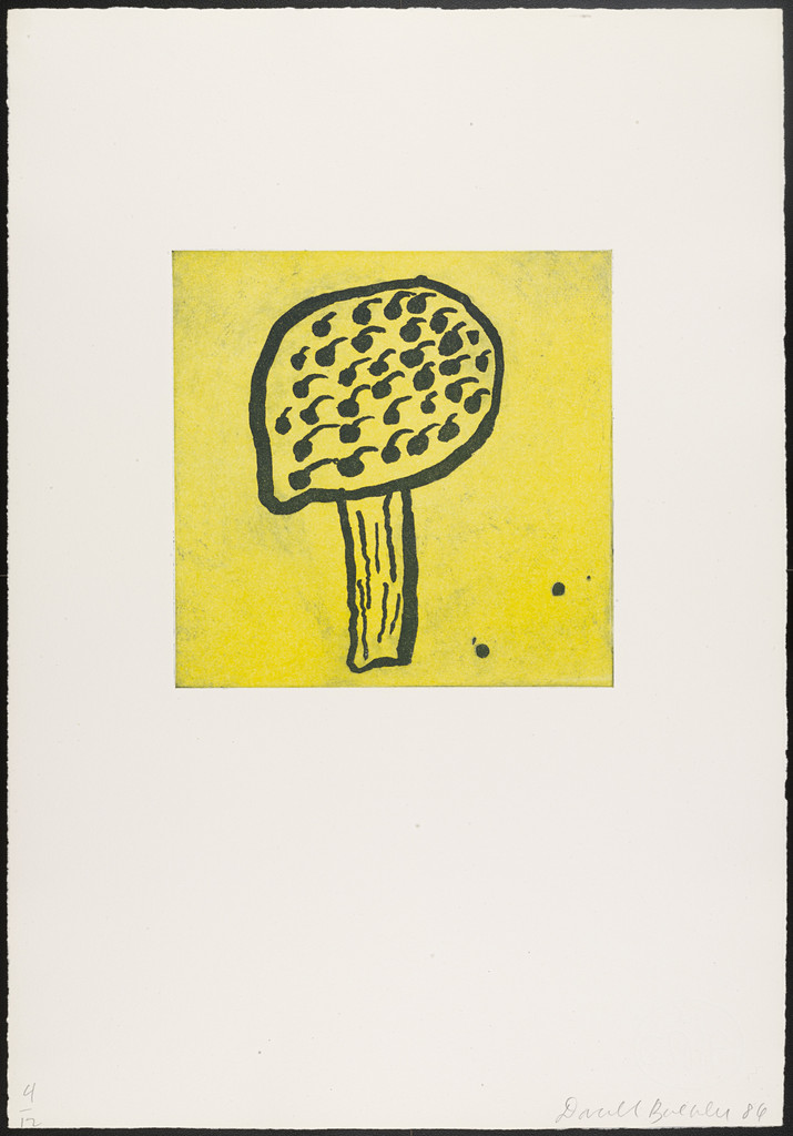 Untitled from Objects