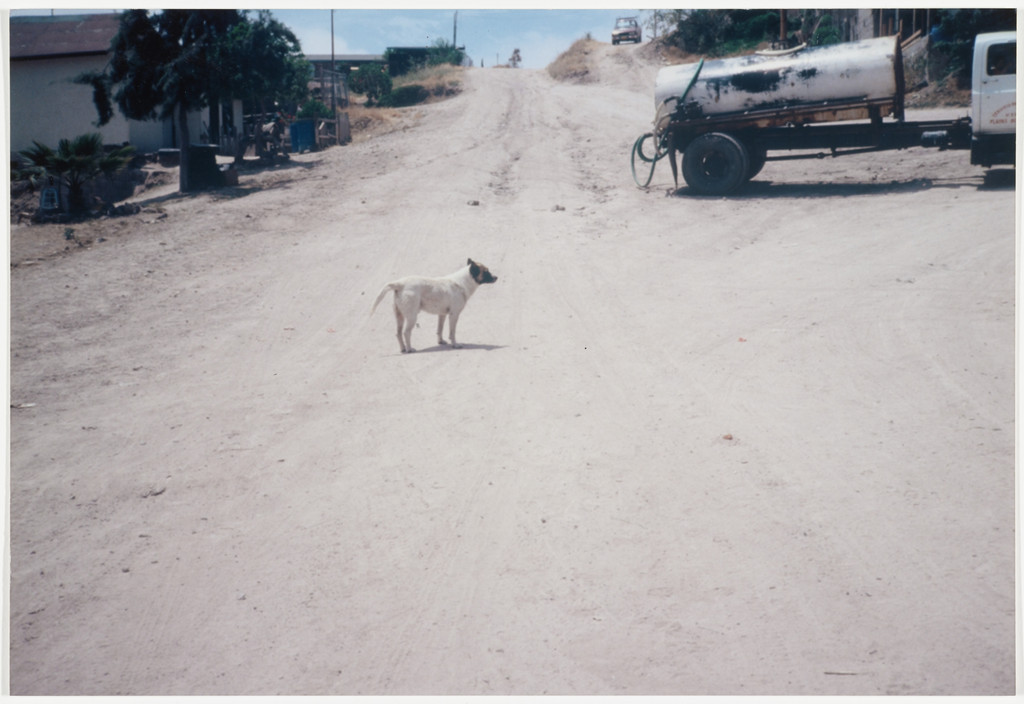 Untitled