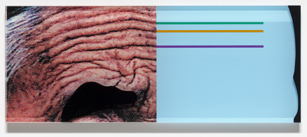 Raised Eyebrows/Furrowed Foreheads: Crooked Made Straight (for Parkett no. 86)