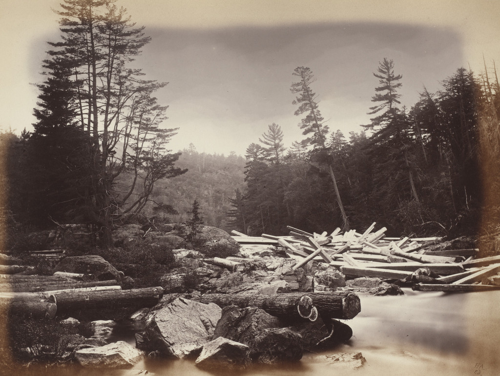 Timber 'Jam' Rouge River