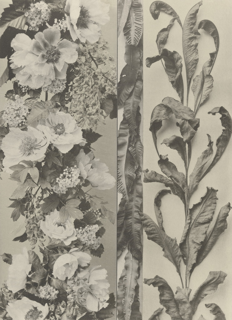 Page from Festons und Dekorative Gruppen