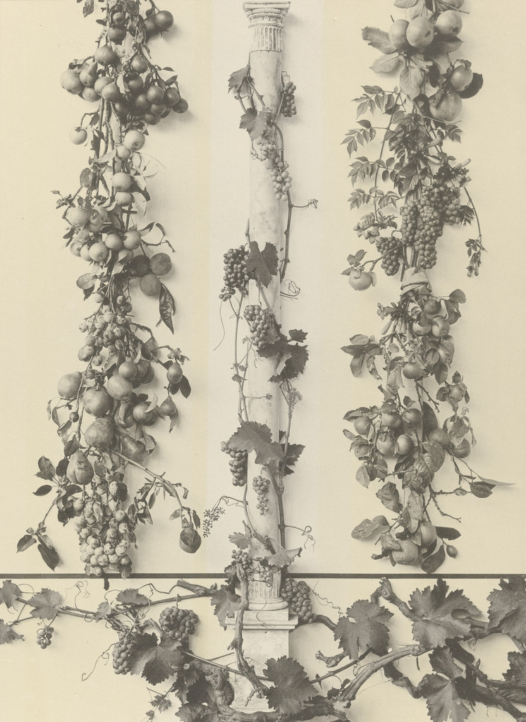 Page from Festons und Dekorative Gruppen