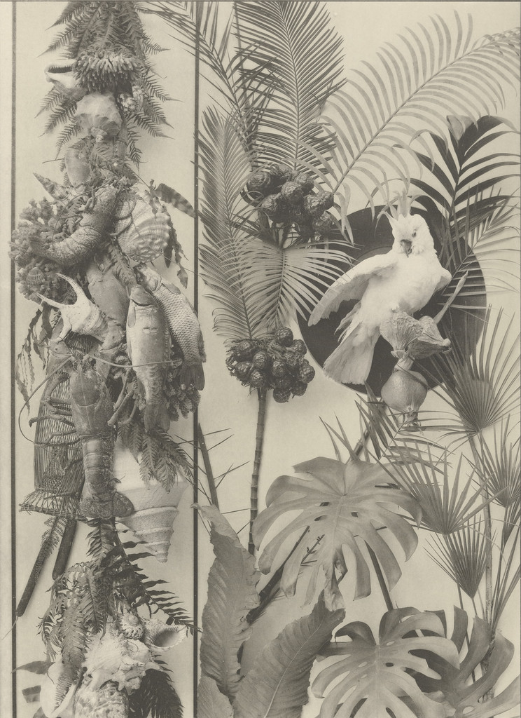 Page from Festons und Dekorative Gruppen