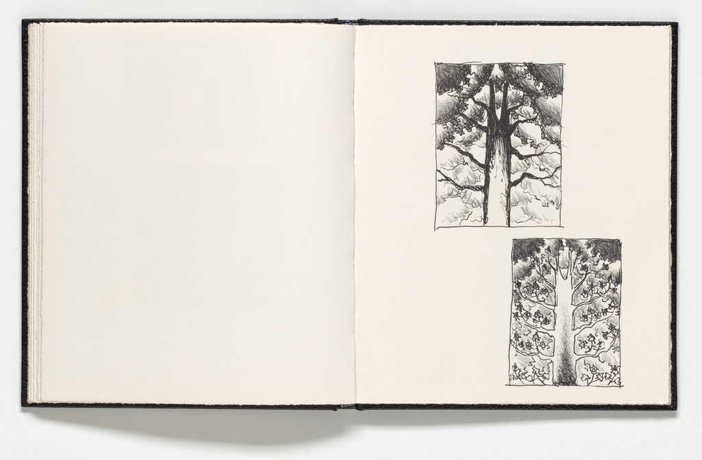 Plate (folio 15) from Sketchbook 1982
